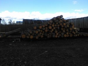 photo_2016-11-01_11-56-37