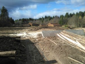 photo_2016-11-01_11-58-54